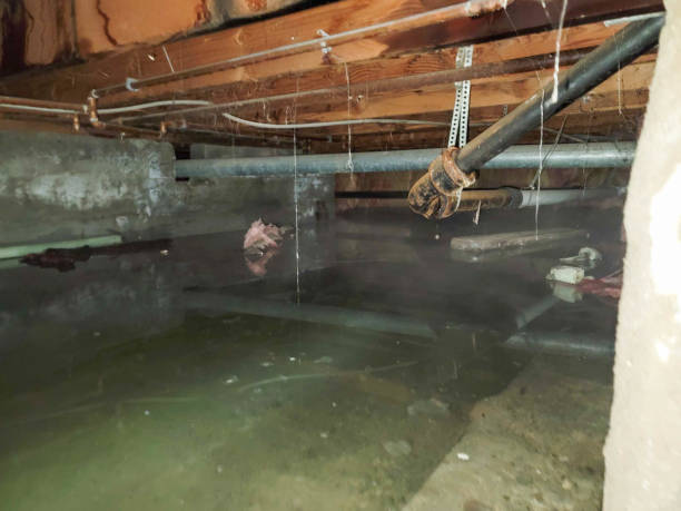 Best Water damage restoration near me  in Juniper Canyon, OR