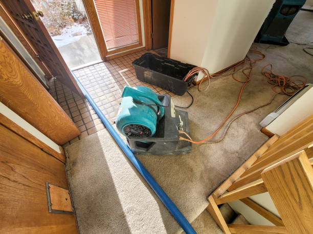 Reliable OR Water damage restoration Solutions